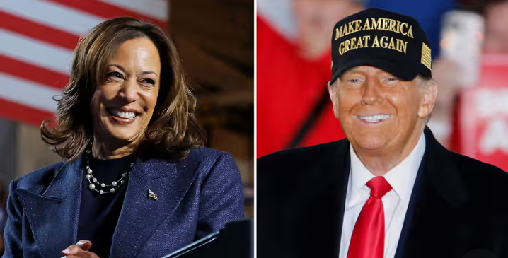 Swing States Hold the Key as Trump and Harris Await Final Electoral Count