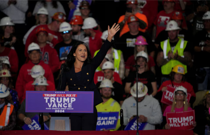 Trump's Pick of Tulsi Gabbard as Intelligence Chief Sparks Global Concern